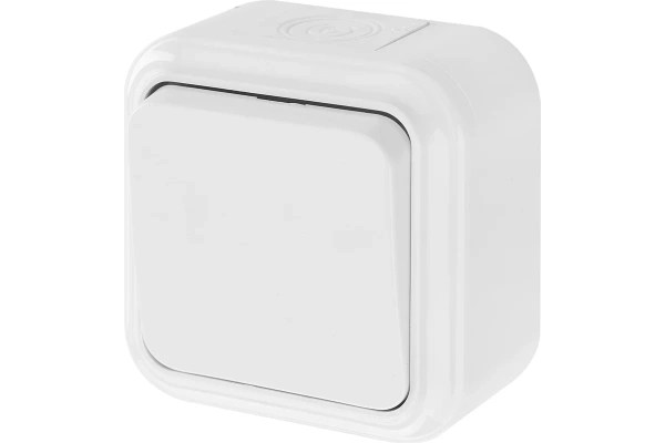 Выключатель о/у 1-кл белый Пралеска IP54 Bylectrica